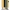 BB-A4-10019 BB Linenkarton PapierSet Golden Whisper A4 BB-A4-10019 BB Linenkarton PapierSet Golden Whisper A4