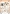 CD12531 Cutting Collektion Wedding Eleganz Der gro�e Tag