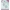 YCD10270 Stanzschablone Stylish Flowers Bouquet of Flowers Blumenstr�u�e