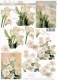4169974 Blumen