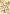 CW10015 Kleine G�rtnerin
