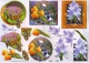 504431 Fr�hlingsblumen