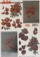 600013 Rosen 3
