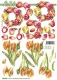 8215394 Tulpen