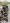 FIM09lila Satin Flowers lila FIM09lila Satin Flowers lila