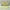 6002-0034x JoyCrafts Schneide-und Pr�geschablonen