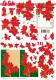 777084 Weihnachtsstern