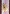 Line 619 Stanzbogen Sch�ferhund