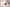 Line 619 Stanzbogen Sch�ferhund