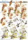 8215308 Kolibri und Orchideen
