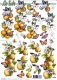 8215323 Citrusfr�chte