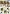 8215457 V�gel