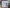 11052-011 Moreheads mit Teddyb�ren