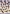 CD10120 Helene Belle Elfe CD10120 Helene Belle Elfe