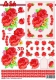 416404 rote Rosen
