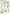 777278 Wei�e Blumen