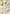 777007 Blumen