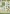 SPECNAT05 Special�s Nature 05