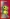 CP012 Clippunch Blume