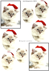066574 Katze mit Weihnachtsmtze