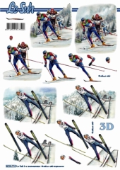8215710 Skifahrer