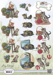 CD10453 AD Animal Medley Felines