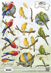 CD10539 AD Animal Medley Tropical Parrots