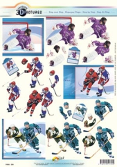 11055-339 Eishockey