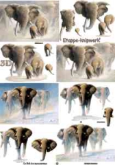 4169594 Elefanten