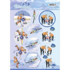 CD11029 JA Wintersport Ice Hockey