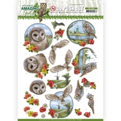 SB10488 AD Amazing Owls - Meadow Owls