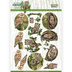 CD11564 AD Schneidebogen Amazing Owls Forest Owls