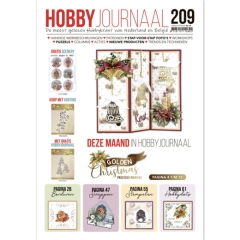 Hobbyjournal Nr. 209 mit Gratis 3D Bogen