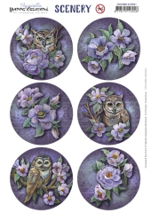 CDS10085 YC Stanzbogen Scenery - Yvonne Creations - Aquarella - Owls and Flowers Round