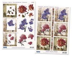 83546 Reddy Cards 3D Stanzbogen Set Fensterkarten Blumen