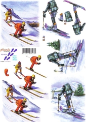 821509 Skifahrer