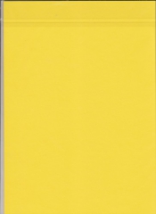 20093 A4 Karton gelb 220 gr