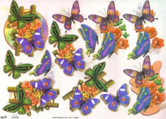 504588 Schmetterlinge