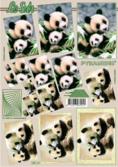 630167 Pandas