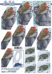 630177 Rotkehlchen und Igel