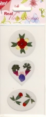 6370-0003 Real Flower Stickers 3