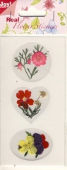 6370-0008 Real Flower Stickers 8