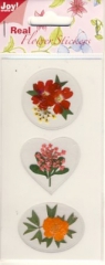 6370-0009 Real Flower Stickers 9