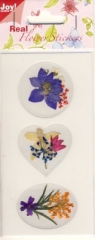 6370-0011 Real Flower  Stickers 11