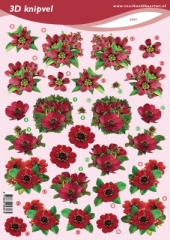 VBK2307 Rote Blumen