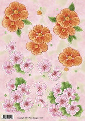 A2511 rosa und orange Blumen