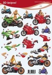 VBK2446 Sexy Damen auf Motorrädern