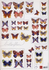 IT 550 Schmetterlinge 1
