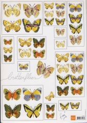 IT 551 Schmetterlinge 2
