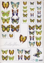 IT 552 Schmetterlinge 3